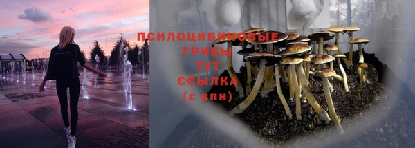 дурь Абаза