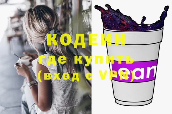 индика Няндома
