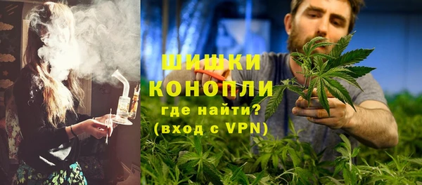 сатива Осташков