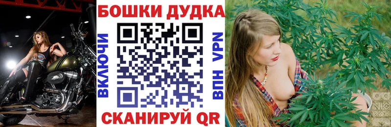 магазин    Анадырь  Конопля планчик 